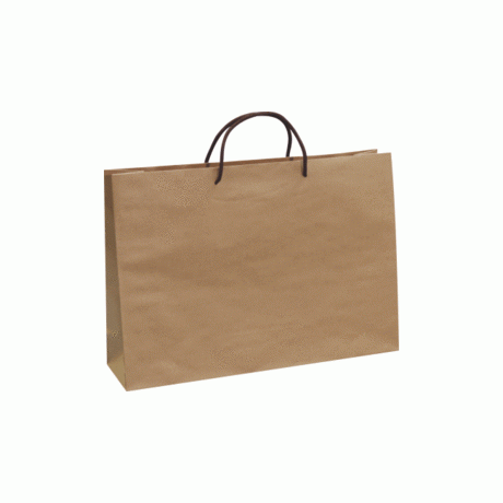 《A-G1》50入無印牛皮紙袋【平面出貨】